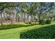 Lush green backyard with mature trees providing shade and privacy at 36750 Us 19 N # 06111, Palm Harbor, FL 34684