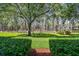 Beautiful view of the lush backyard and verdant landscaping at 36750 Us 19 N # 06111, Palm Harbor, FL 34684