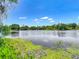 Scenic view of the lake, showcasing the lush green surroundings and clear blue sky at 3810 Hollister Pl, Brandon, FL 33511