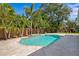 Backyard pool with stone pavers, palm trees, and lush landscaping creating a private outdoor oasis at 4935 W Bay Way Pl, Tampa, FL 33629