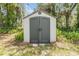 Storage shed with double doors, perfect for storing outdoor equipment and tools at 6702 Towhe Dr, Seffner, FL 33584