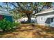 Backyard with mature trees, yurt, patio furniture, and fun treehouse, a perfect play area at 905 E Hanna Ave, Tampa, FL 33604