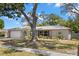 A single-story home with a large tree, manicured lawn, and architectural details near the front window at 914 Woodland Dr, Palm Harbor, FL 34683