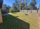 Large backyard features a fire pit, lawn, and a tall wood fence at 1309 Malone Ave, Spring Hill, FL 34606