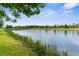 Picturesque pond surrounded by lush greenery, offering a tranquil and scenic view at 1969 Milkweed Trce, Lutz, FL 33558