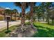 Beautifully landscaped street view with palm trees and community firepit in the distance at 2674 Tanglewood Trl, Palm Harbor, FL 34685