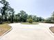 Circular driveway with manicured lawn, a palm tree island, and beautiful shady trees at 3114 Little Rd, Valrico, FL 33596