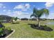 Expansive backyard featuring a pond view and lush landscaping with small palms at 31637 Cannon Rush Dr, San Antonio, FL 33576