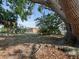 Large backyard with a mature tree and a swing for relaxing outdoors at 3338 Hoover Dr, Holiday, FL 34691