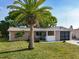 Charming single-story home with a well-manicured lawn, palm tree, and inviting curb appeal at 3338 Hoover Dr, Holiday, FL 34691