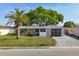 Charming single-story home featuring a well-maintained lawn and mature palm tree at 3338 Hoover Dr, Holiday, FL 34691