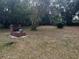 Large backyard with trees and a brick barbecue grill, perfect for outdoor gatherings at 33640 Brisk Dr, Wesley Chapel, FL 33543