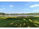 Picturesque view of the community lake with a beautiful tree line and open grassy area at 5903 Nature Ridge Ln, Lithia, FL 33547