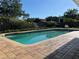 Inviting pool featuring a brick patio, surrounding greenery, and a serene outdoor retreat at 6703 Peachtree Dr, Temple Terrace, FL 33617