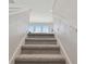 Carpeted staircase leading to an upper level, with a glimpse of a living space bathed in natural light at 10749 Tally Fawn Loop, San Antonio, FL 33576