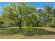 A lush backyard featuring a large grassy area with mature shade trees and native landscaping at 1379 Matthew Ave, Spring Hill, FL 34609