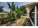 The backyard boasts tropical foliage, adding privacy around the screened in lanai at 1615 Stonehaven Way, Tarpon Springs, FL 34689