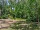 Lush backyard with mature trees providing ample shade and a serene outdoor setting at 17515 Drake Ct, Lutz, FL 33559