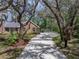 Long driveway leading to a brick home, shaded by mature trees and surrounded by greenery at 17515 Drake Ct, Lutz, FL 33559