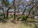 Brick home surrounded by trees, some of which have Spanish Moss, with a driveway on the right side at 17515 Drake Ct, Lutz, FL 33559