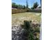 Spacious backyard featuring a new wooden fence and an immature Palm tree at 29813 69Th N St, Clearwater, FL 33761