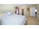 Bright bedroom featuring a comfortable bed, soft lighting, and a walk-in closet at 30526 Annadale Dr, Wesley Chapel, FL 33545