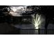 Beautiful pond view with illuminated fountain; peaceful backyard ambience at 32699 Dashel Palm Ln, Wesley Chapel, FL 33543