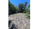 View of a vacant lot in the backyard with trees and a shed at 4363 Elwood Rd, Spring Hill, FL 34609