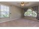 Bedroom featuring large window, carpet, and neutral walls at 11102 Avery Oaks Dr, Tampa, FL 33625