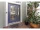 Inviting front door with decorative glass, potted plants, and a 'Welcome' mat at 11102 Avery Oaks Dr, Tampa, FL 33625