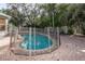 Backyard pool is fenced-in for safety and features patio space for outdoor lounging at 11102 Avery Oaks Dr, Tampa, FL 33625