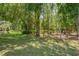 A backyard featuring mature trees with dappled sunlight, lush green grass, and the sense of being in a forest at 1144 Lanyard St, Palm Harbor, FL 34685