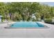 Community swimming pool surrounded by mature trees and lawn chairs at 1144 Lanyard St, Palm Harbor, FL 34685