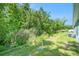 Scenic backyard featuring lush greenery, trees, and a peaceful natural environment at 12264 Grizzly Ln, New Port Richey, FL 34654