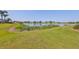 Picture-perfect backyard with lush green grass extending to the lake, framed by tropical palms and scenic views at 1604 Storington Ave, Brandon, FL 33511