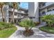 Well-maintained courtyard featuring tropical landscaping at 2650 Countryside Blvd # A104, Clearwater, FL 33761