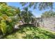 Backyard with green grass and privacy block wall, bordered with tropical trees and greenery at 2919 Northfield Dr, Tarpon Springs, FL 34688