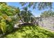 Private backyard showcasing lush greenery, a tall stone wall, and a screened-in patio at 2919 Northfield Dr, Tarpon Springs, FL 34688