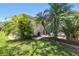 Backyard with green grass and tropical trees behind a screened in enclosure at 2919 Northfield Dr, Tarpon Springs, FL 34688
