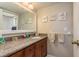 Cozy bathroom with brown vanity, decorative artwork, and a framed mirror for a warm and inviting atmosphere at 3647 Scarlet Tanager Dr, Palm Harbor, FL 34683