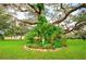 Expansive front yard with lush green lawn, mature trees, and a charming garden bed surrounding an ornamental figure at 37229 Cora Ave, Zephyrhills, FL 33542