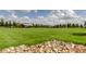 Large green lawn perfect for picnics and recreation, with a covered picnic structure in the distance at 4975 Night Star Trl, Odessa, FL 33556