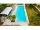Aerial view of a rectangular pool with palm trees and lounge chairs, perfect for hot summer days at 4975 Night Star Trl, Odessa, FL 33556