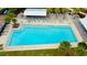 Aerial view of a large community pool surrounded by palm trees and lounge chairs for relaxing and swimming at 4975 Night Star Trl, Odessa, FL 33556