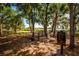 Gated community dog park with shady trees and access to a serene lake view, enhancing the pet-friendly atmosphere at 6607 Gates Pointe Way, Riverview, FL 33578