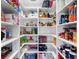 Pantry filled with organized shelves stocked with food items and household supplies at 6607 Gates Pointe Way, Riverview, FL 33578