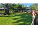 Scenic backyard view of the waterfront landscaping including tropical plants, flowers, and an inviting lakeside atmosphere at 9072 Baywood Park Dr, Seminole, FL 33777