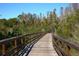 Inviting boardwalk winding through a lush, natural landscape offering residents a scenic walking experience at 9645 Runaway Breeze Dr, Land O Lakes, FL 34637