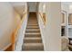 Carpeted staircase with a white wood banister, leading to the upper level of the home at 10141 Deercliff Dr, Tampa, FL 33647