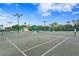 A green and well maintained outdoor tennis court surrounded by landscaping and shade at 10141 Deercliff Dr, Tampa, FL 33647